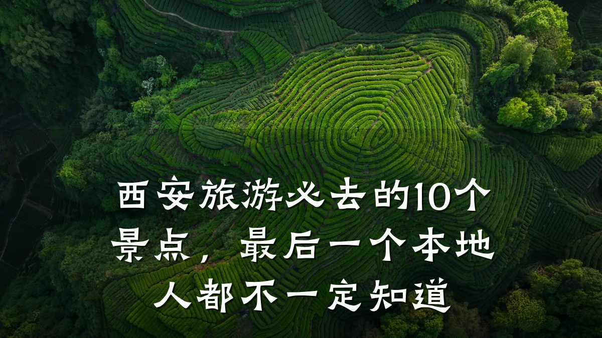 西安旅游必去的10个景点,最后一个本地人都不一定知道