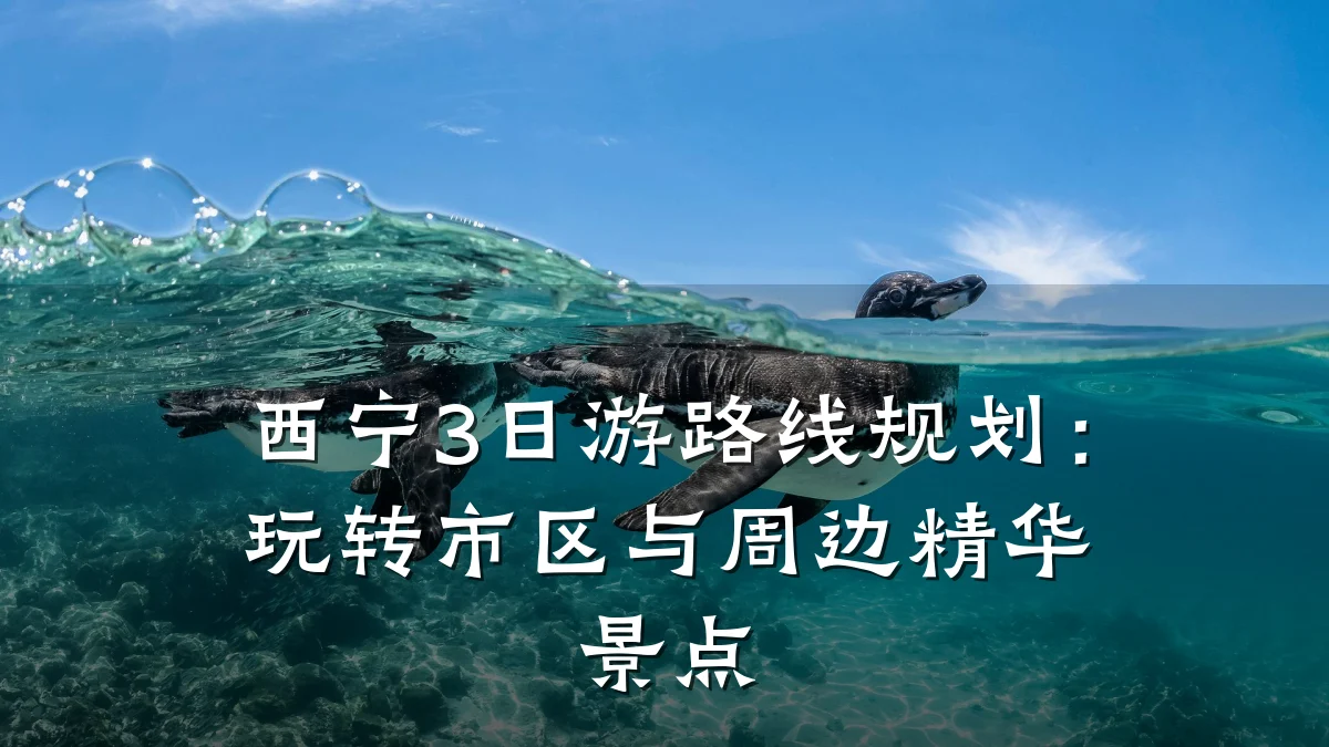 西宁3日游路线规划：玩转市区与周边精华景点