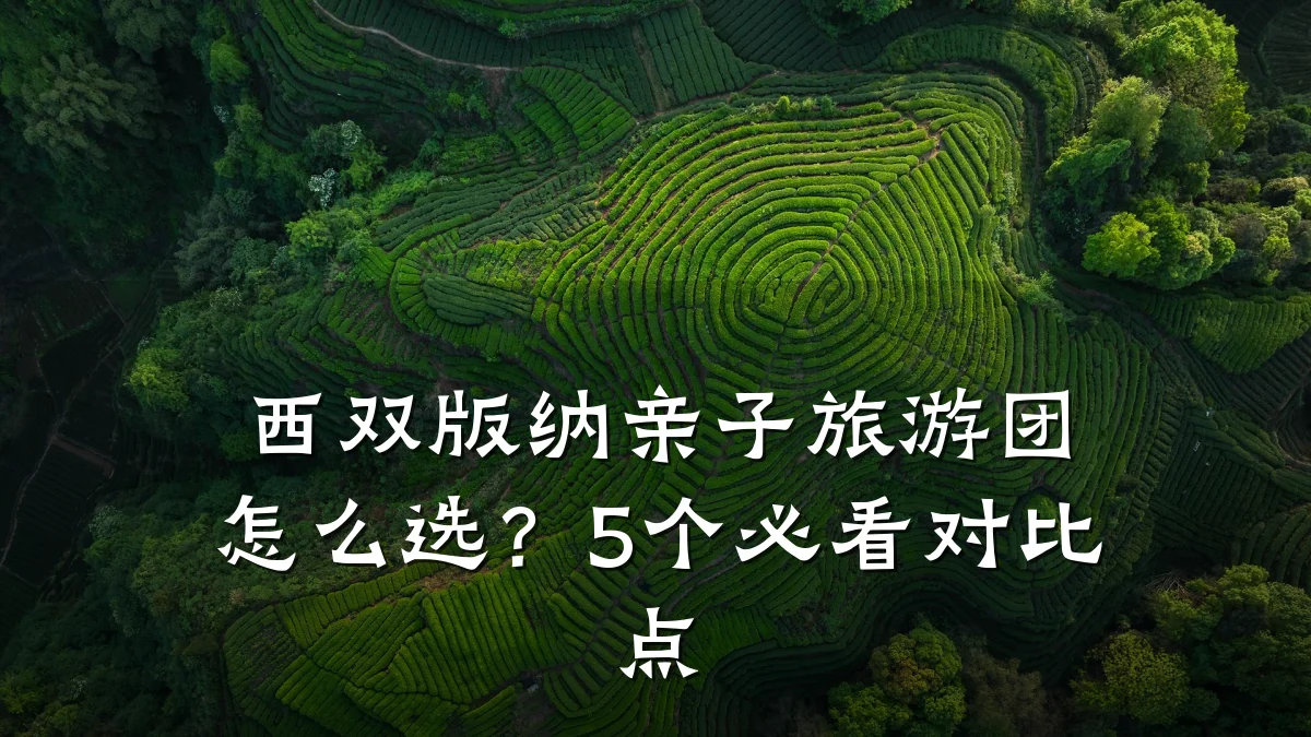 西双版纳亲子旅游团怎么选?5个必看对比点