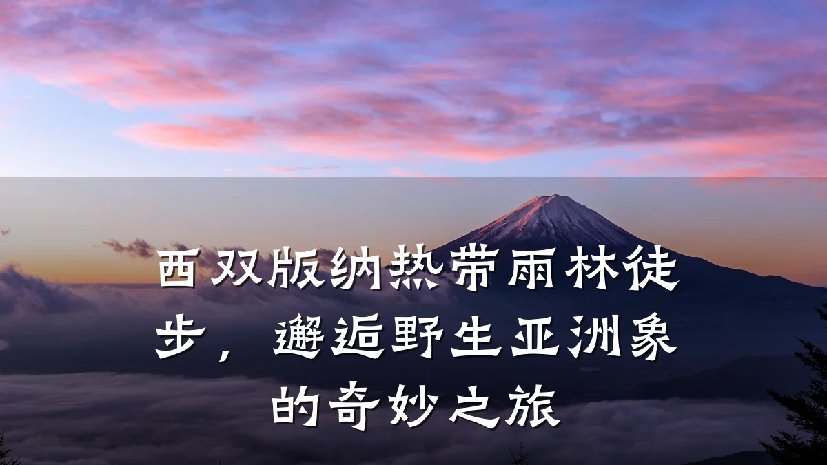 西双版纳热带雨林徒步,邂逅野生亚洲象的奇妙之旅