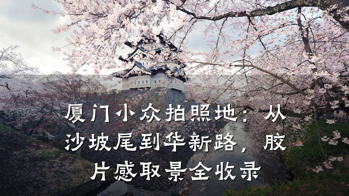 厦门小众拍照地:从沙坡尾到华新路,胶片感取景全收录