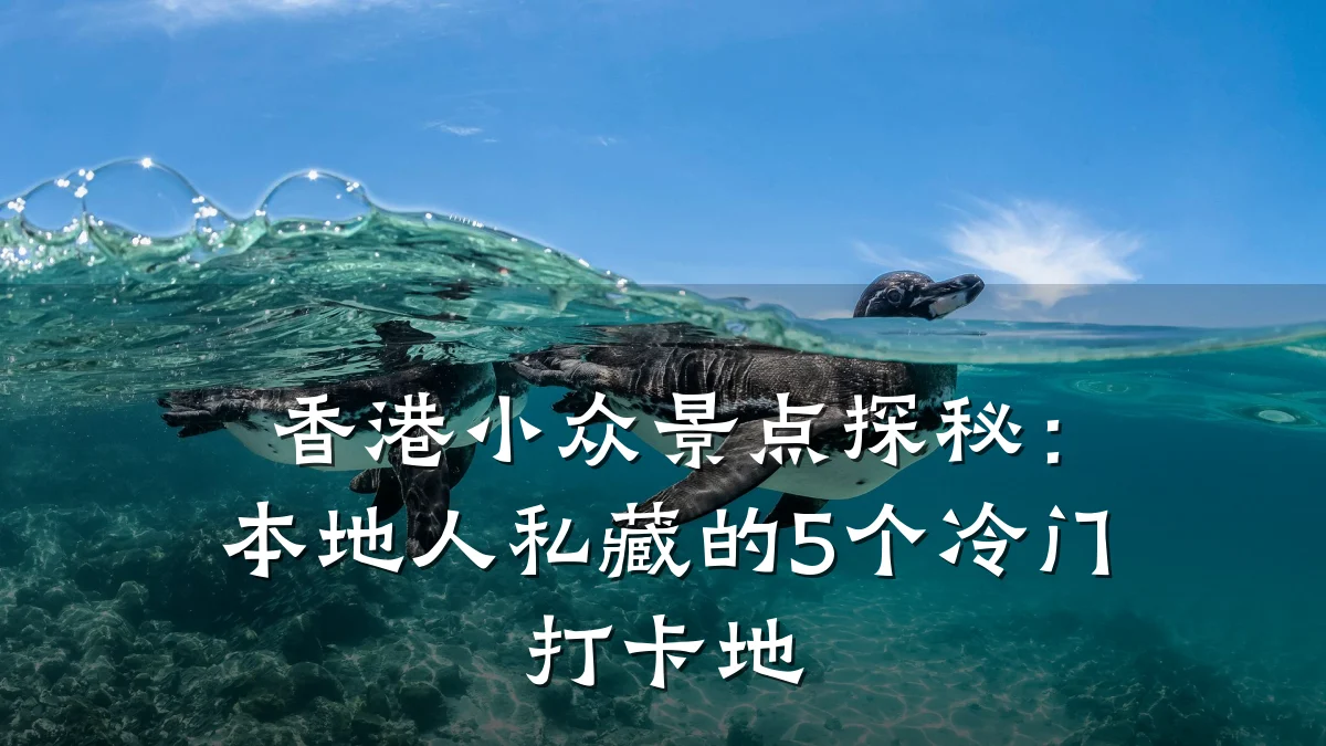 香港小众景点探秘：本地人私藏的5个冷门打卡地