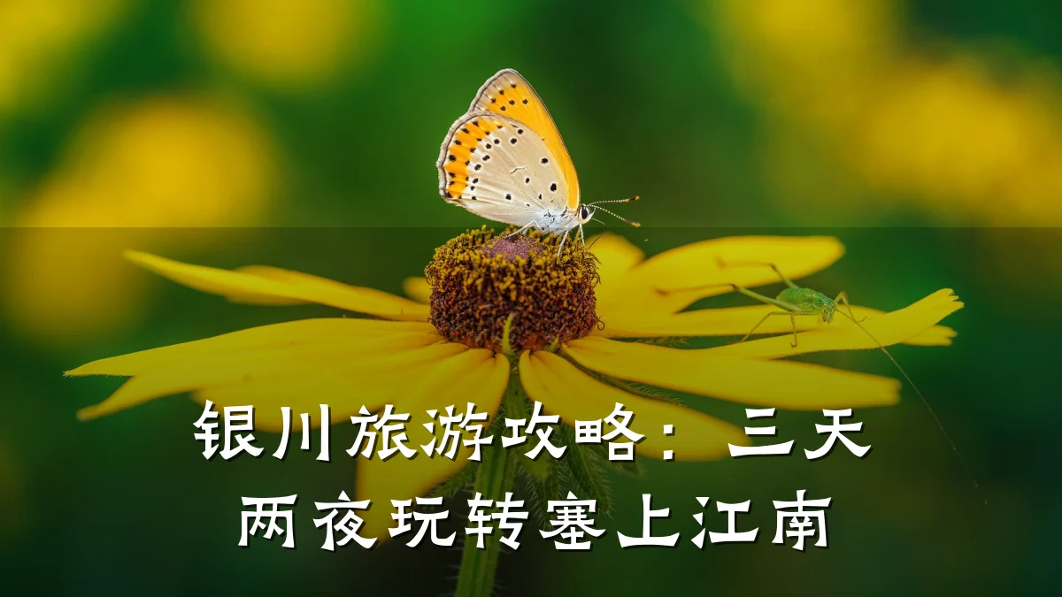 银川旅游攻略:三天两夜玩转塞上江南