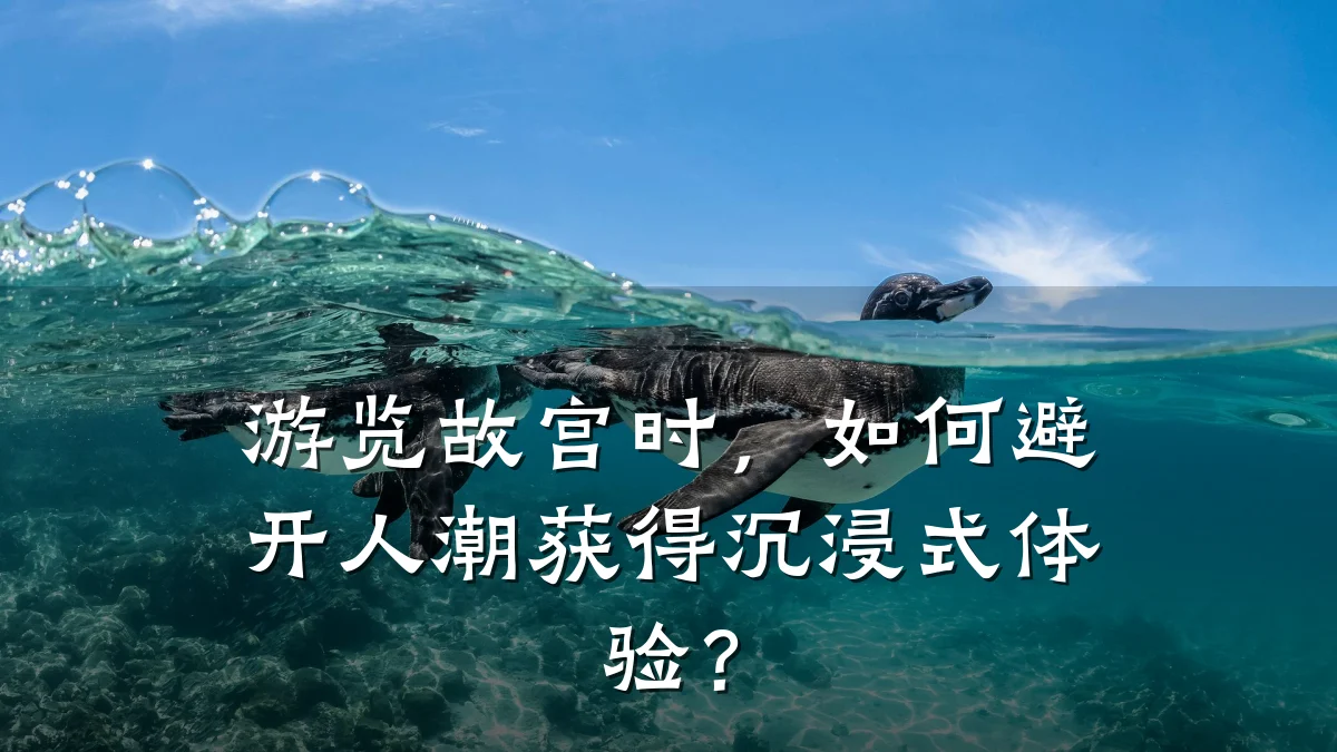 游览故宫时,如何避开人潮获得沉浸式体验?