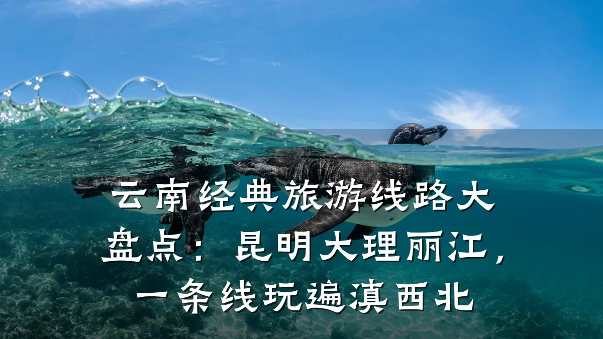 云南经典旅游线路大盘点：昆明大理丽江，一条线玩遍滇西北