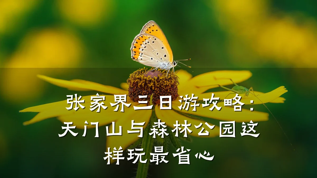 张家界三日游攻略:天门山与森林公园这样玩最省心
