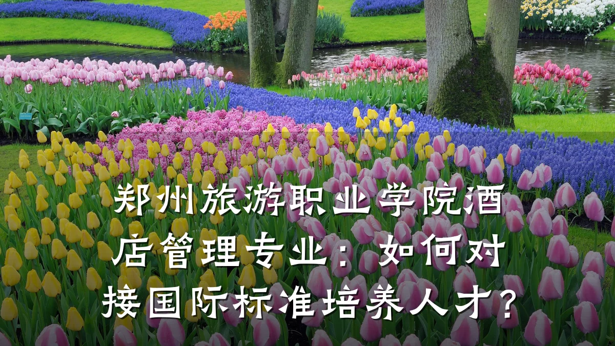 郑州旅游职业学院酒店管理专业：如何对接国际标准培养人才？