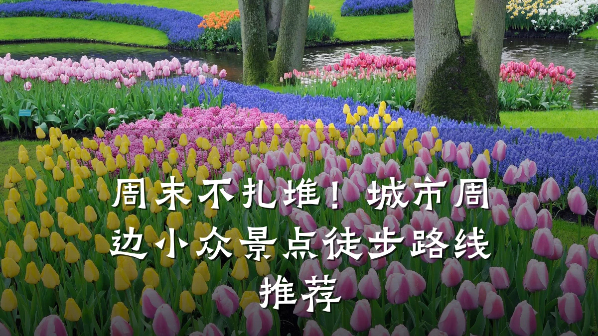 周末不扎堆！城市周边小众景点徒步路线推荐
