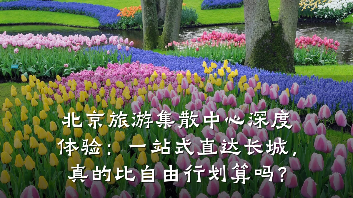 北京旅游集散中心深度体验:一站式直达长城,真的比自由行划算吗?