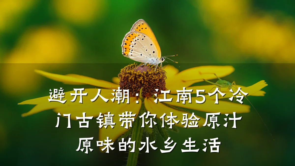 避开人潮:江南5个冷门古镇带你体验原汁原味的水乡生活