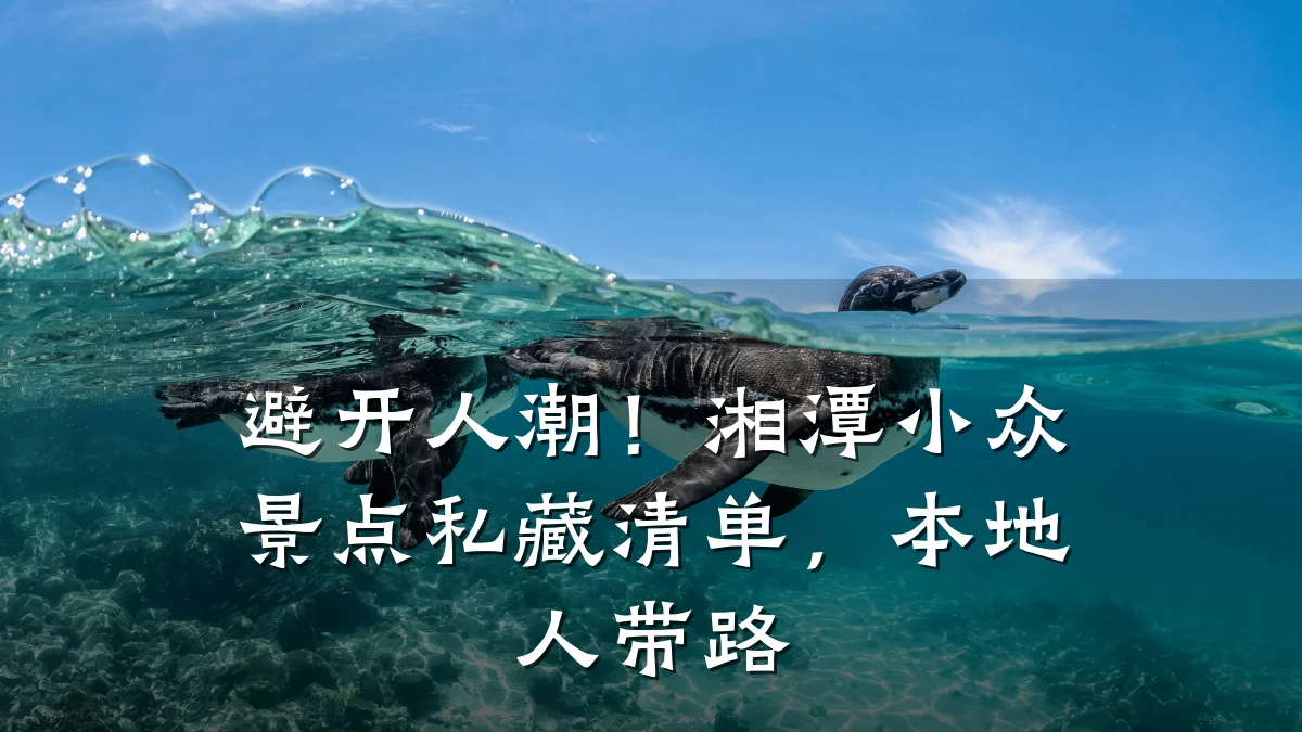 避开人潮！湘潭小众景点私藏清单，本地人带路