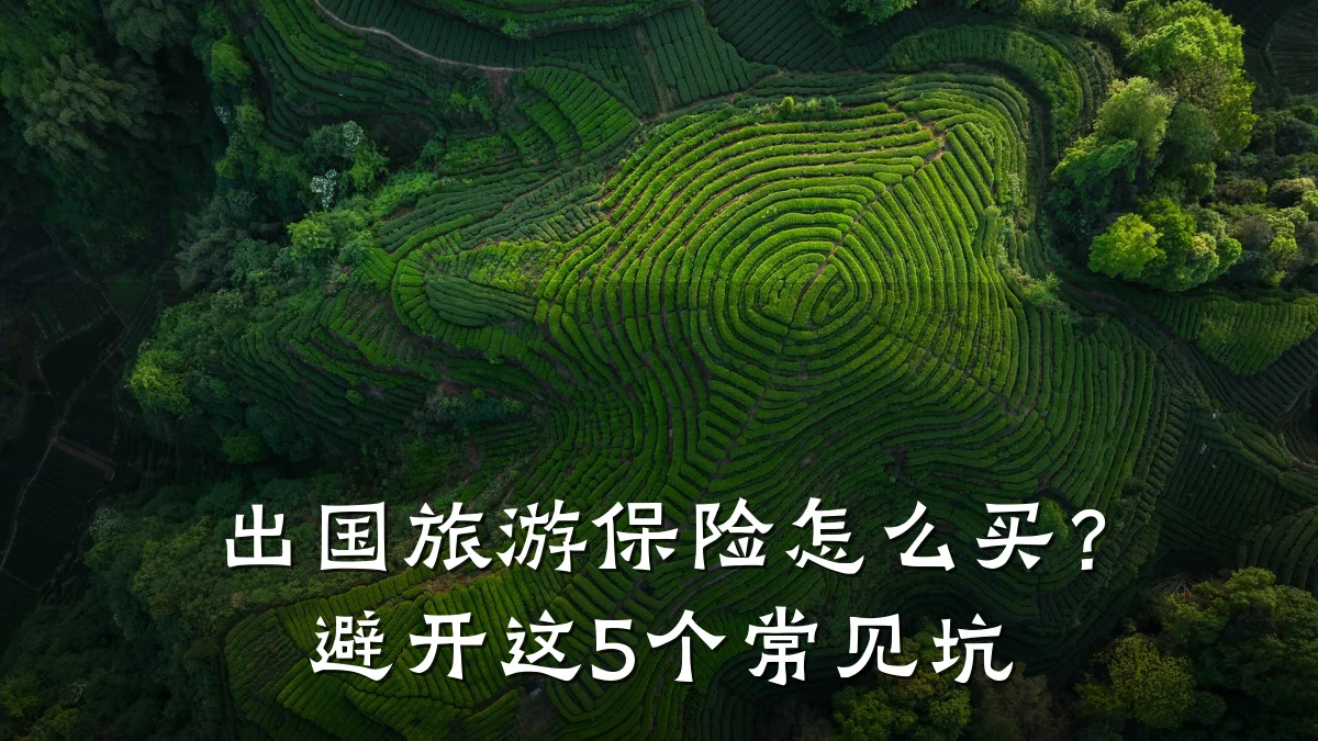 出国旅游保险怎么买?避开这5个常见坑