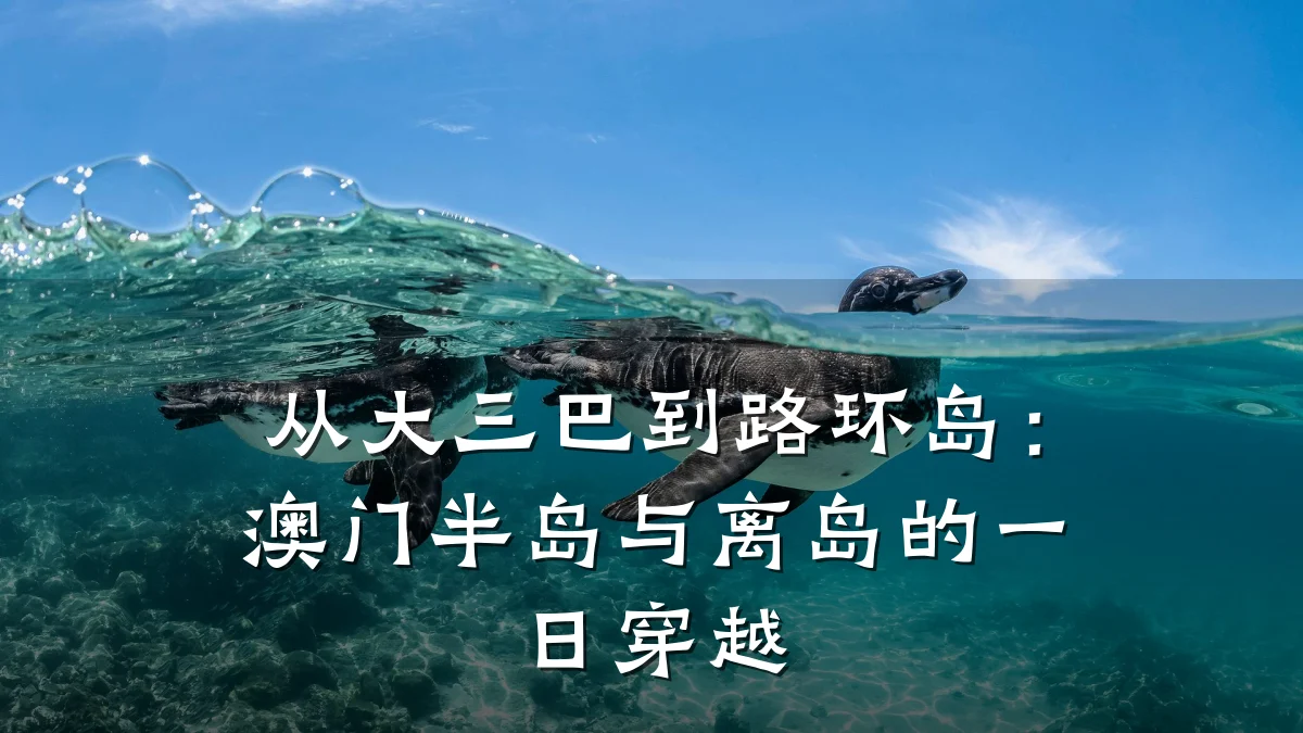 从大三巴到路环岛:澳门半岛与离岛的一日穿越