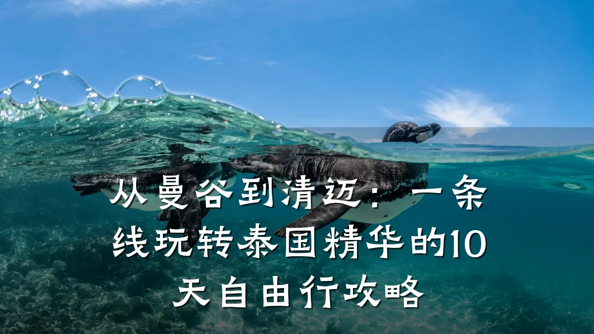 从曼谷到清迈:一条线玩转泰国精华的10天自由行攻略