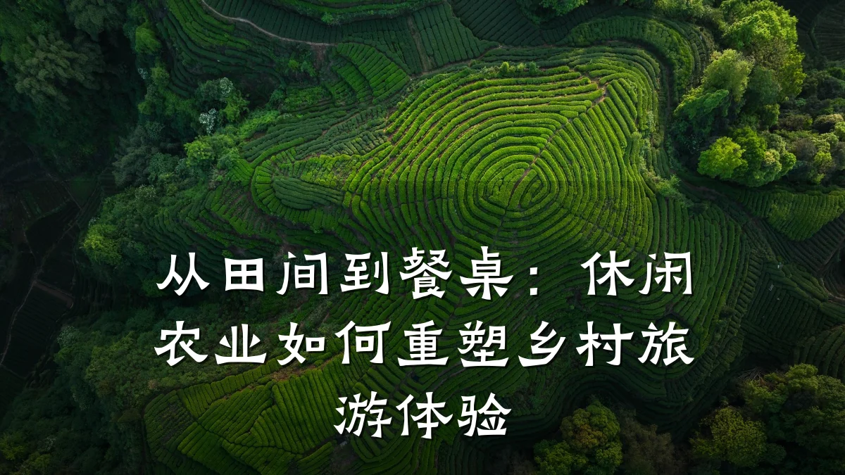 从田间到餐桌:休闲农业如何重塑乡村旅游体验