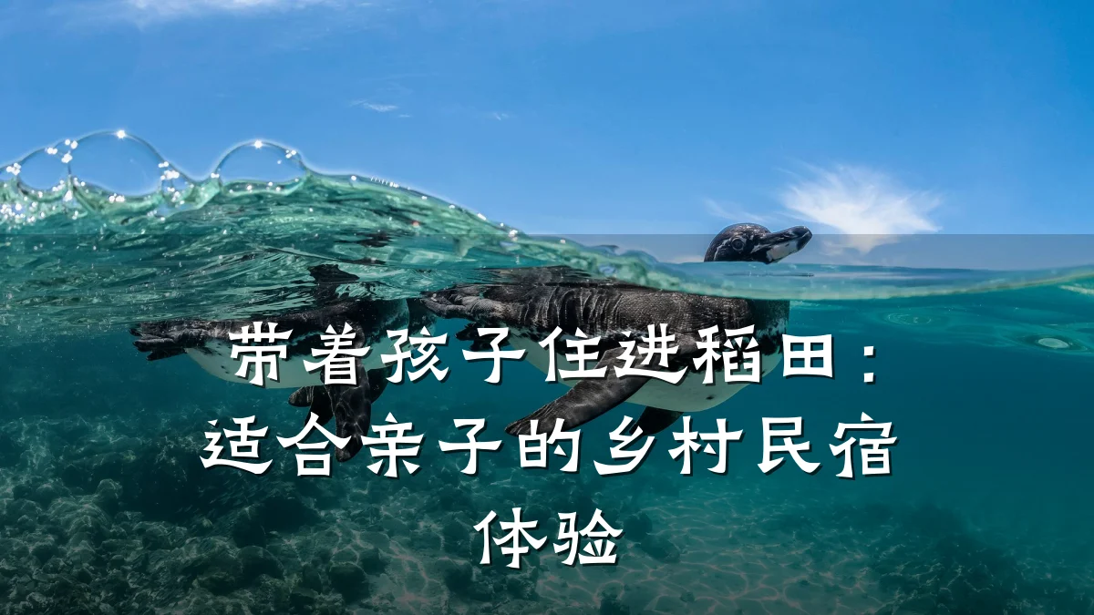 带着孩子住进稻田:适合亲子的乡村民宿体验