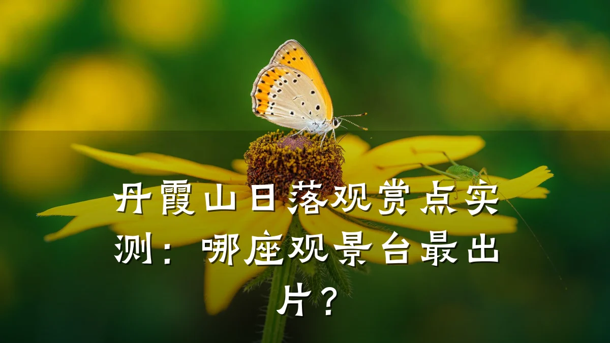丹霞山日落观赏点实测：哪座观景台最出片？