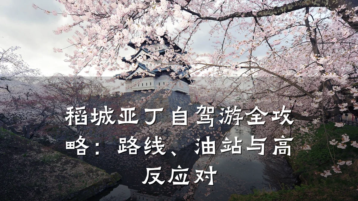 稻城亚丁自驾游全攻略:路线、油站与高反应对