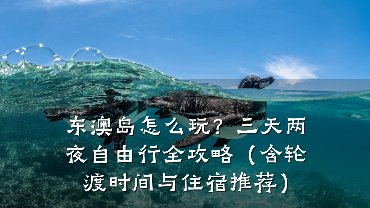 东澳岛怎么玩?三天两夜自由行全攻略(含轮渡时间与住宿推荐)