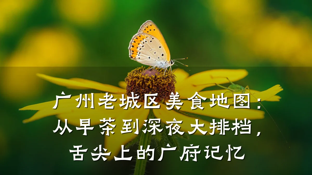 广州老城区美食地图:从早茶到深夜大排档,舌尖上的广府记忆