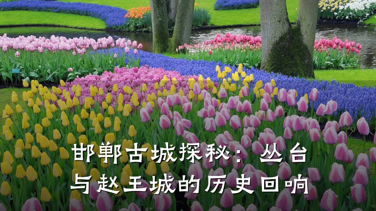 邯郸古城探秘:丛台与赵王城的历史回响