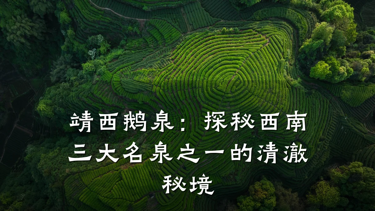 靖西鹅泉：探秘西南三大名泉之一的清澈秘境