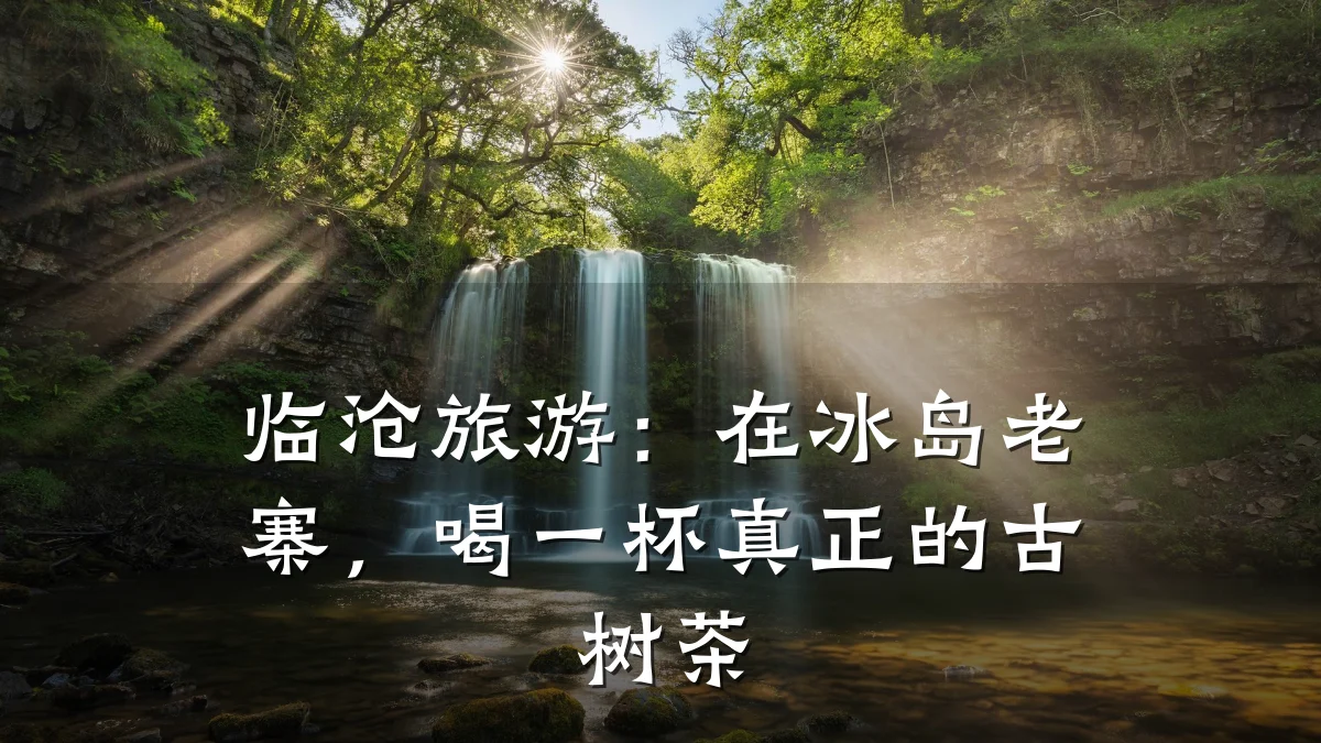 临沧旅游：在冰岛老寨，喝一杯真正的古树茶
