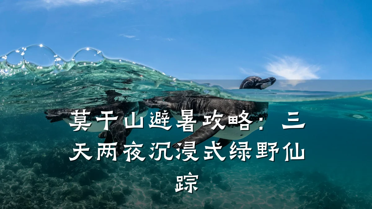 莫干山避暑攻略:三天两夜沉浸式绿野仙踪