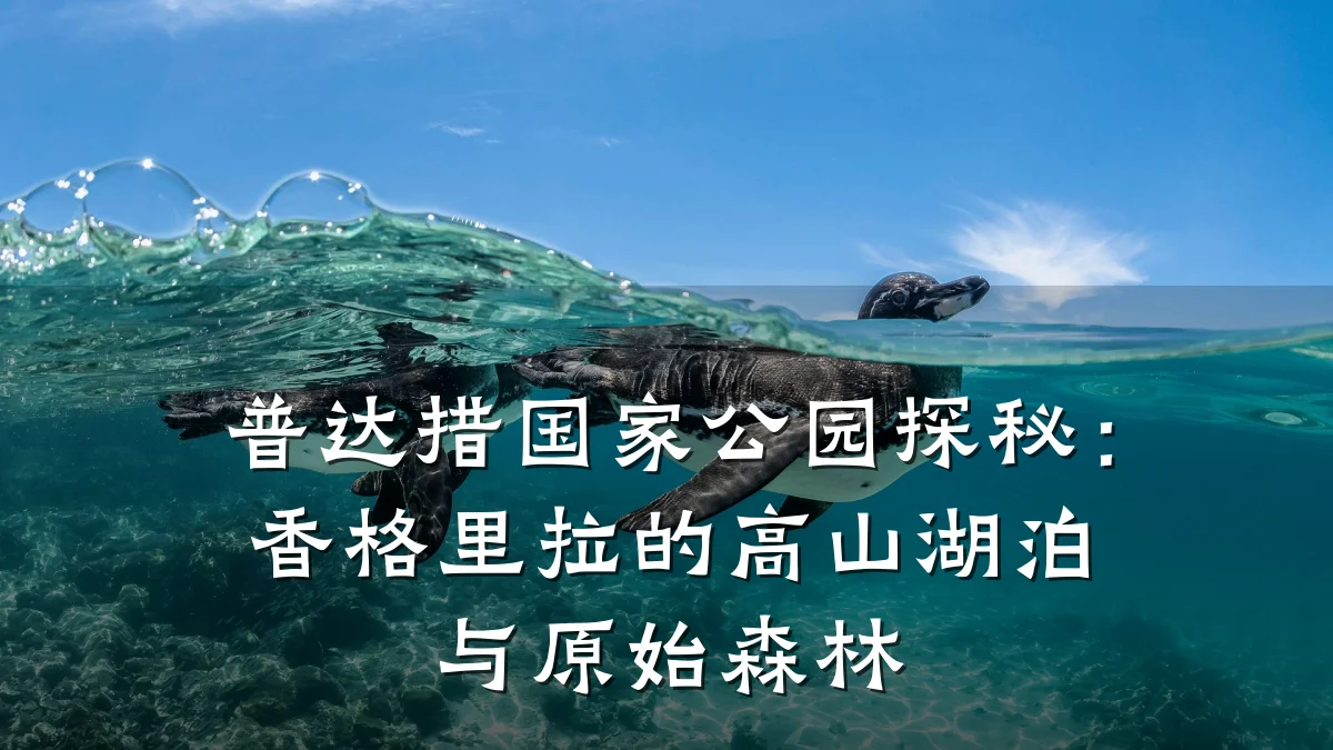 普达措国家公园探秘：香格里拉的高山湖泊与原始森林