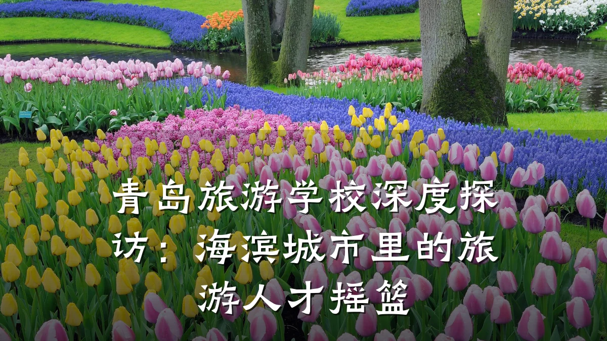 青岛旅游学校深度探访:海滨城市里的旅游人才摇篮