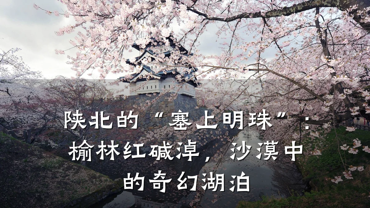 陕北的“塞上明珠”：榆林红碱淖，沙漠中的奇幻湖泊