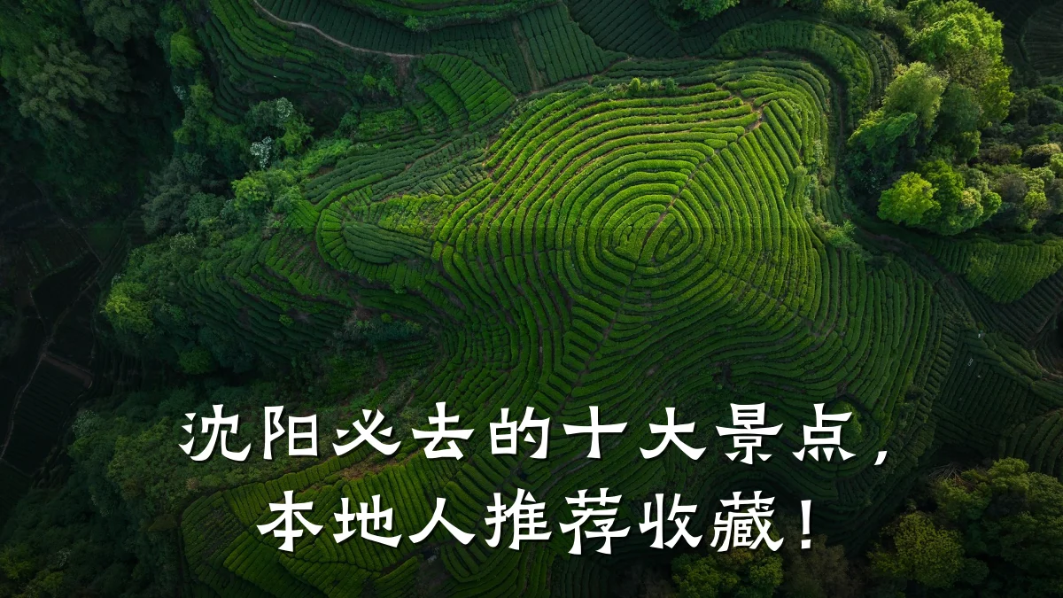 沈阳必去的十大景点，本地人推荐收藏！