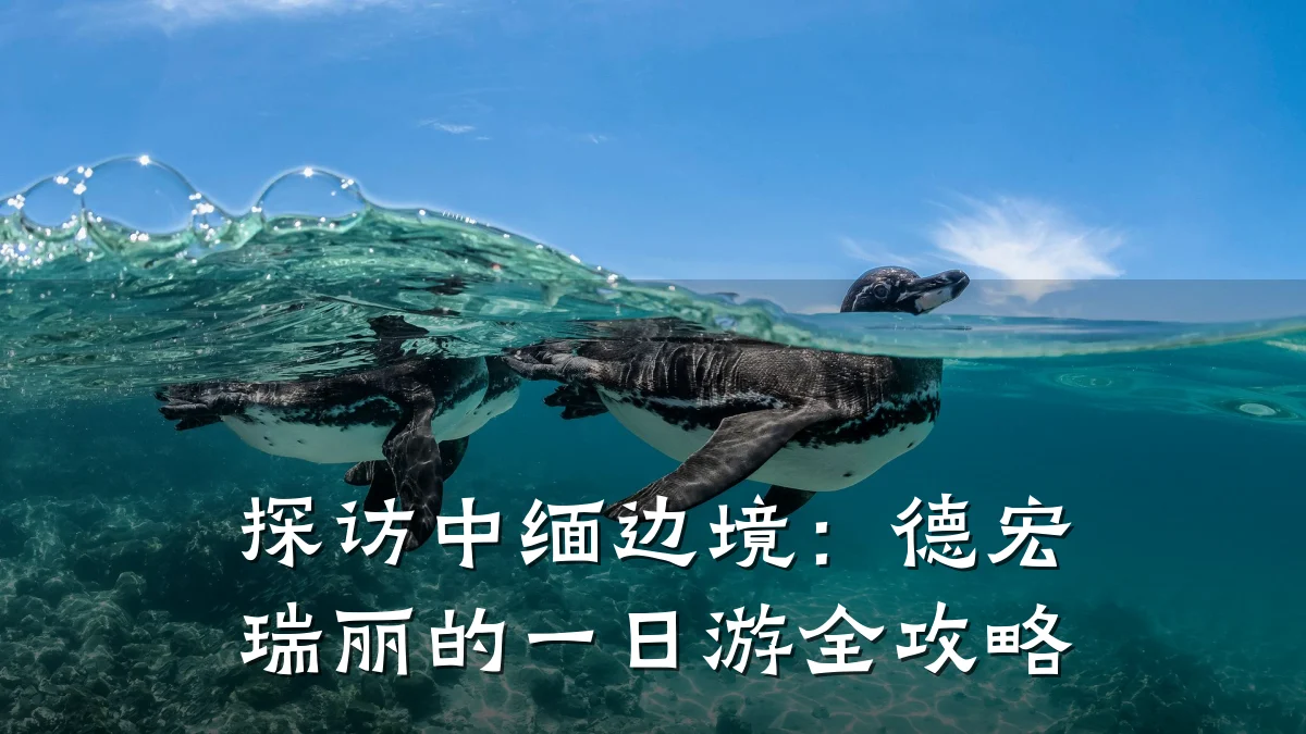 探访中缅边境:德宏瑞丽的一日游全攻略