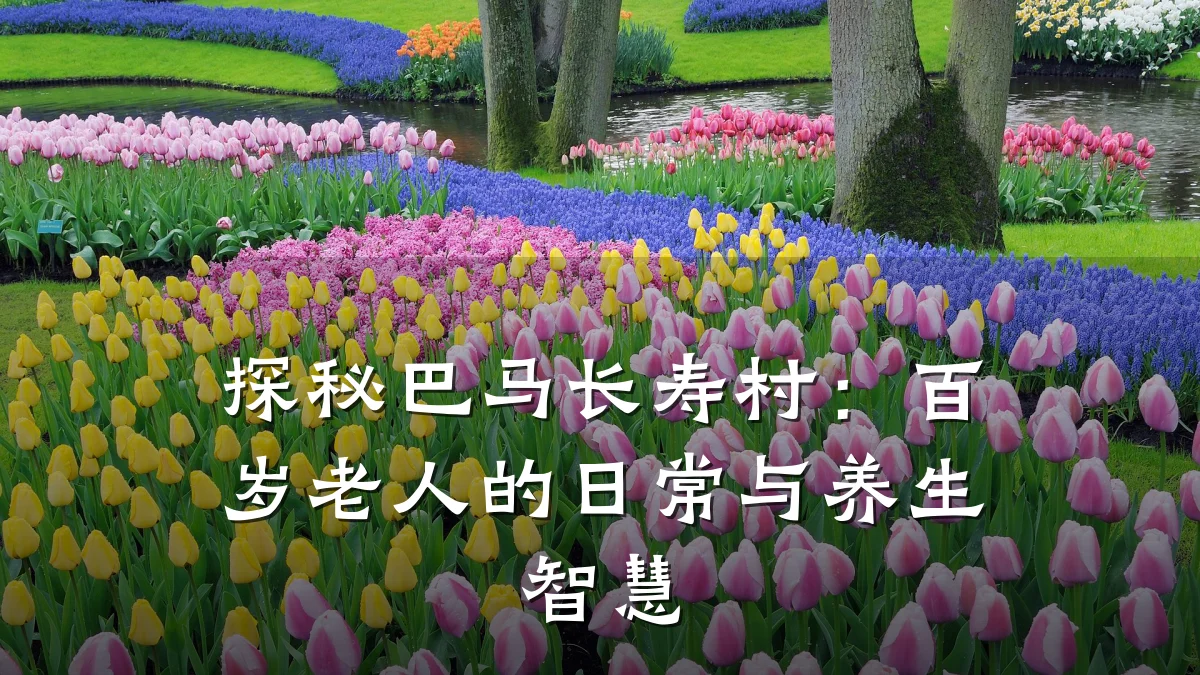探秘巴马长寿村:百岁老人的日常与养生智慧
