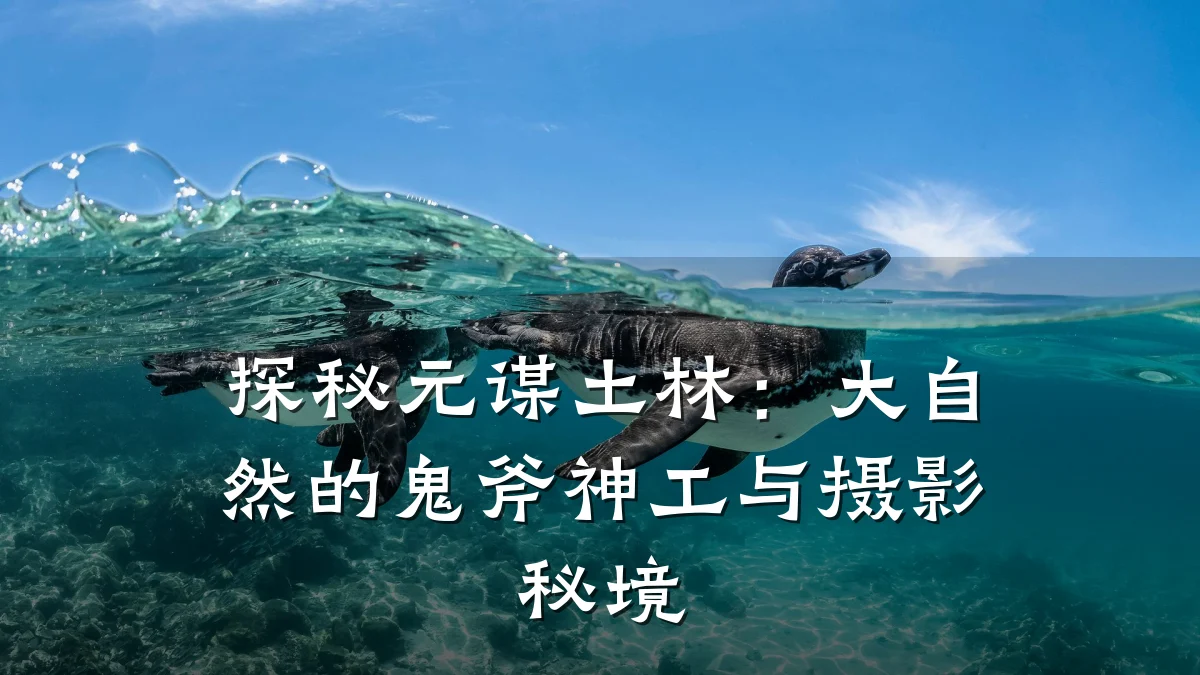 探秘元谋土林：大自然的鬼斧神工与摄影秘境
