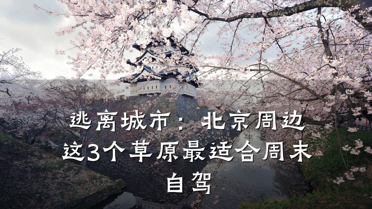 逃离城市：北京周边这3个草原最适合周末自驾