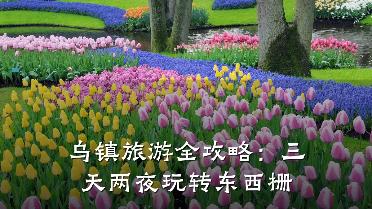 乌镇旅游全攻略:三天两夜玩转东西栅