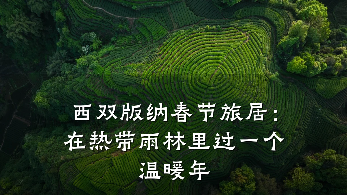 西双版纳春节旅居：在热带雨林里过一个温暖年