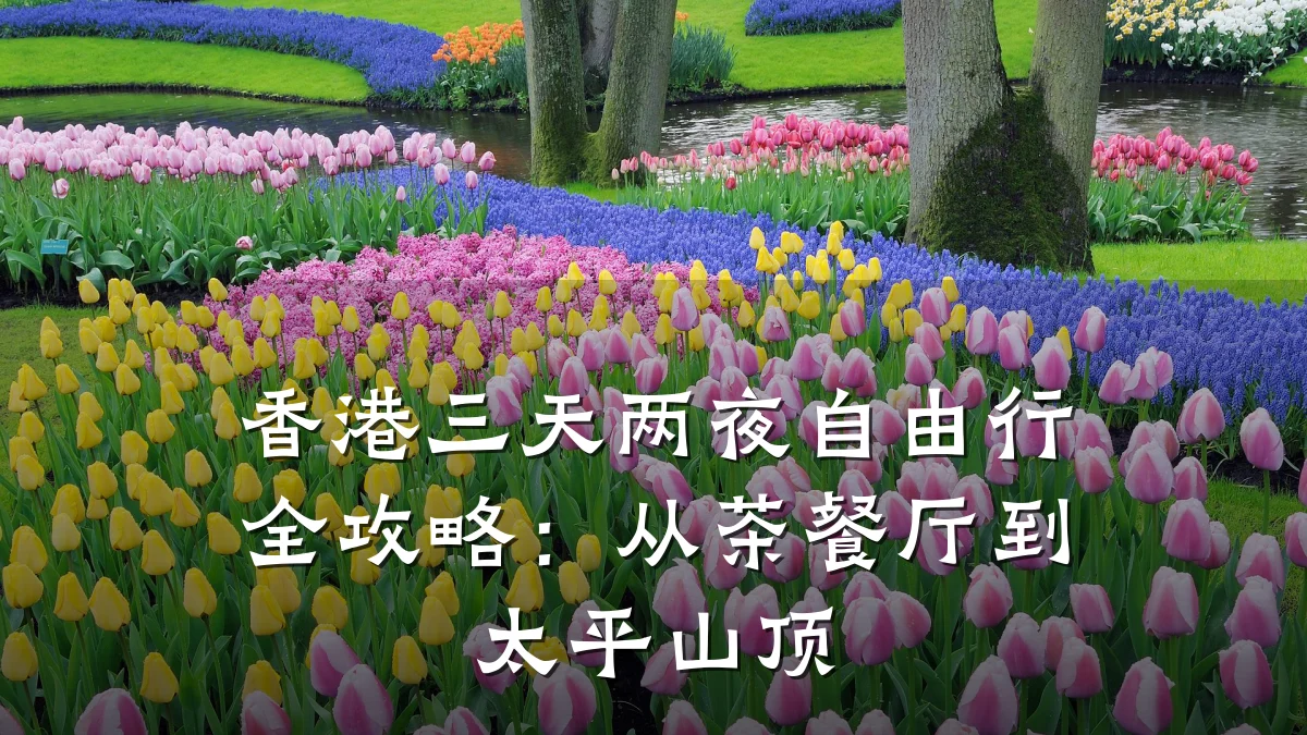 香港三天两夜自由行全攻略：从茶餐厅到太平山顶