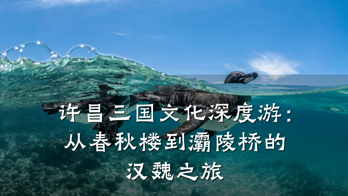 许昌三国文化深度游:从春秋楼到灞陵桥的汉魏之旅