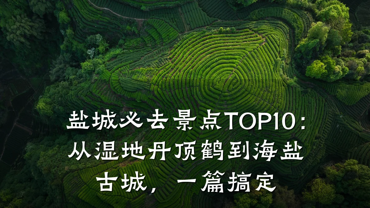 盐城必去景点TOP10：从湿地丹顶鹤到海盐古城，一篇搞定