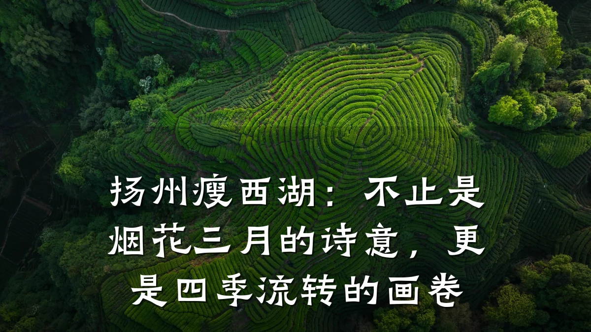 扬州瘦西湖:不止是烟花三月的诗意,更是四季流转的画卷