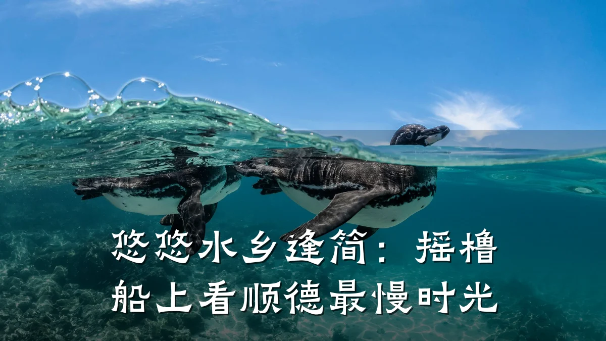悠悠水乡逢简:摇橹船上看顺德最慢时光