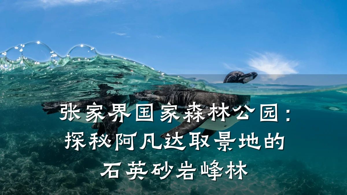 张家界国家森林公园:探秘阿凡达取景地的石英砂岩峰林