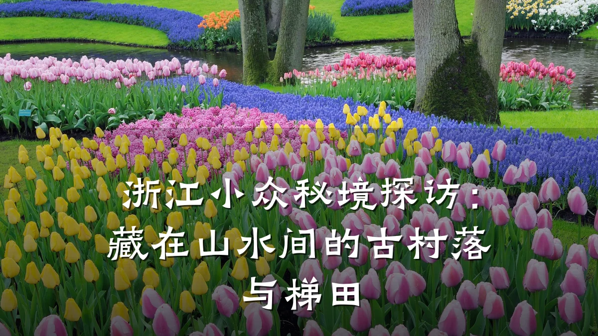 浙江小众秘境探访:藏在山水间的古村落与梯田