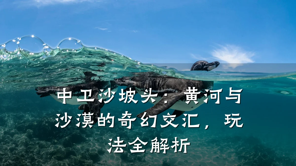 中卫沙坡头：黄河与沙漠的奇幻交汇，玩法全解析