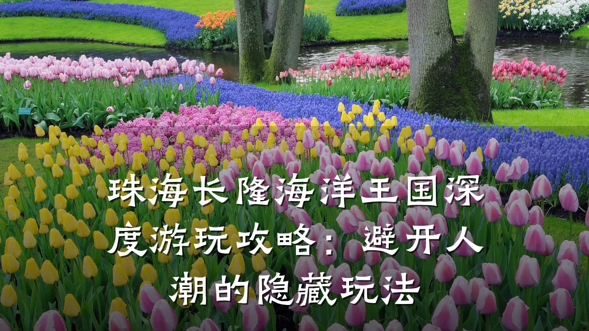 珠海长隆海洋王国深度游玩攻略：避开人潮的隐藏玩法