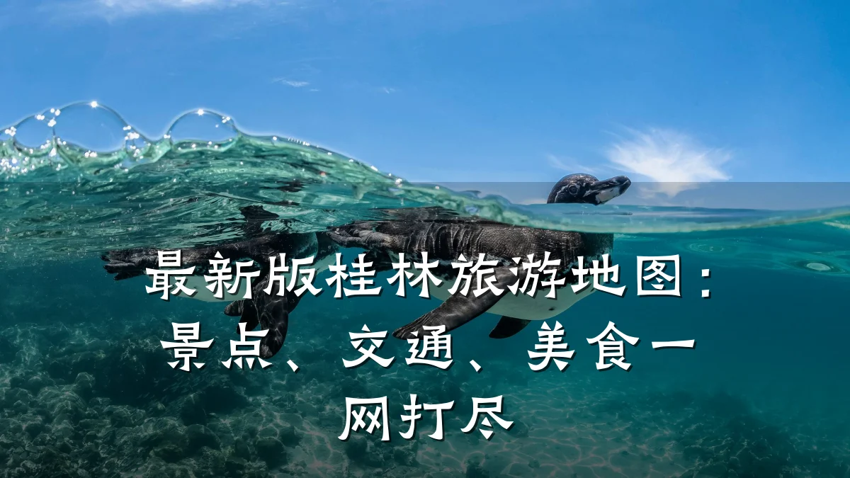 最新版桂林旅游地图:景点、交通、美食一网打尽