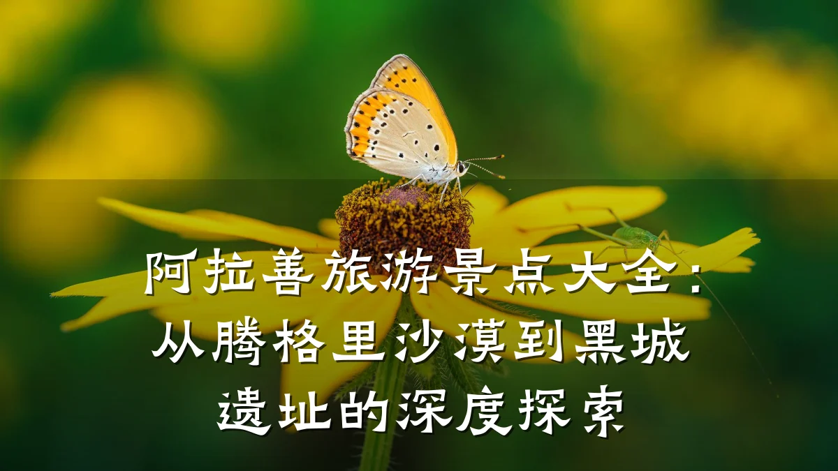 阿拉善旅游景点大全：从腾格里沙漠到黑城遗址的深度探索