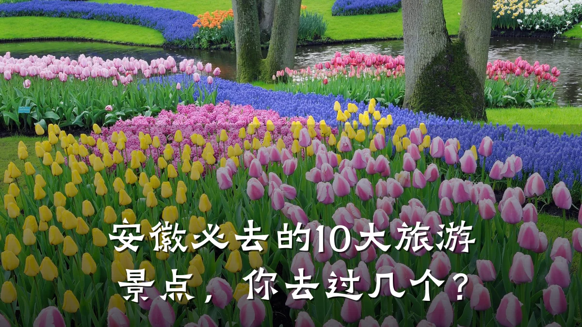 安徽必去的10大旅游景点，你去过几个？
